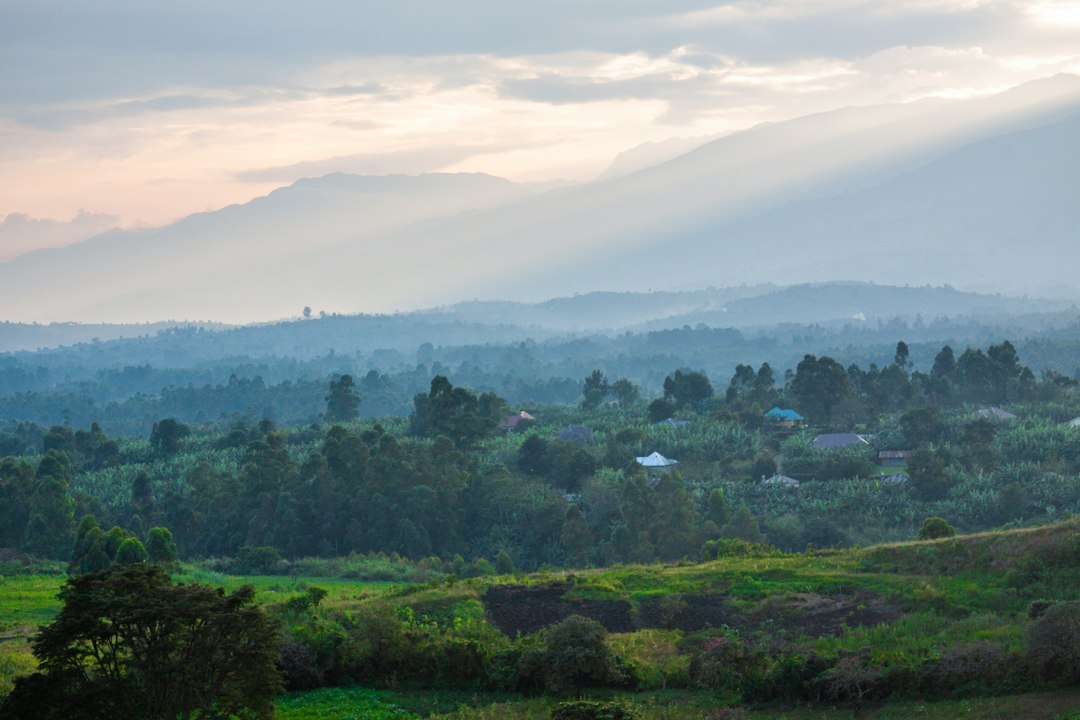 Farmland and agriculture in Africa